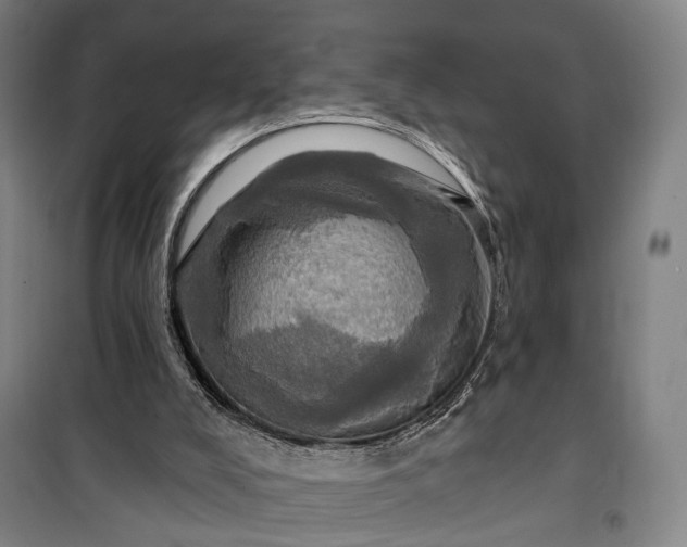 X0000101160008200807111039