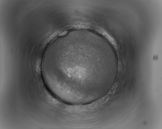 X0000101160009200807111039