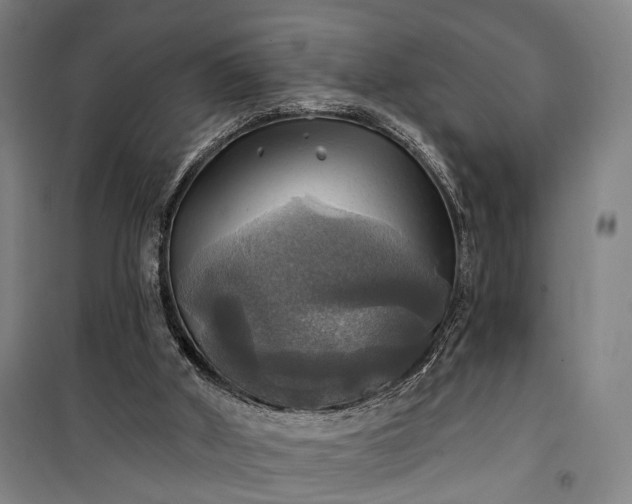 X0000101160010200807111039