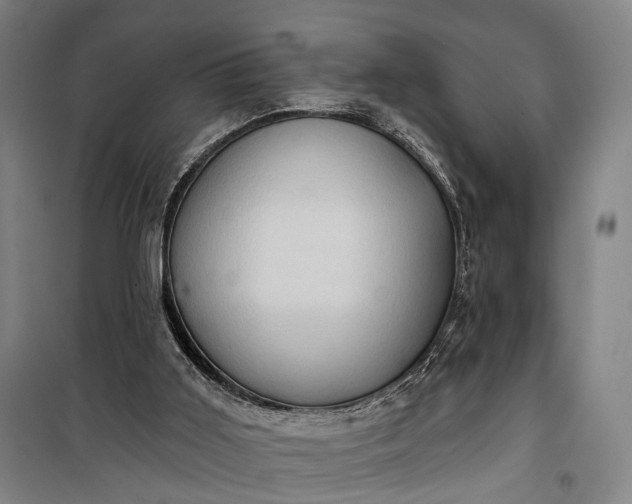 X0000101160011200807111039