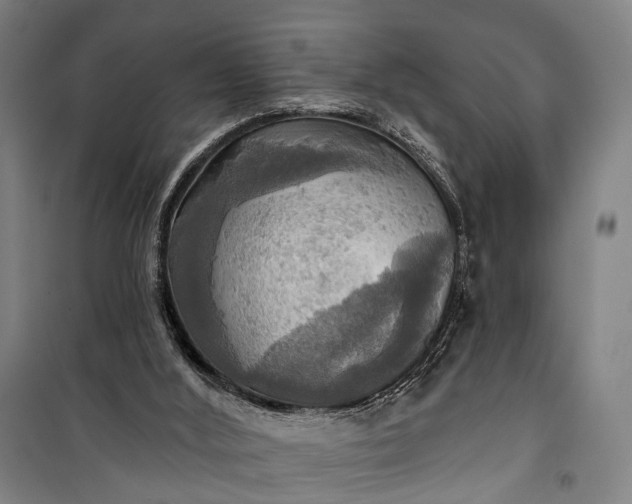 X0000101160012200807111039