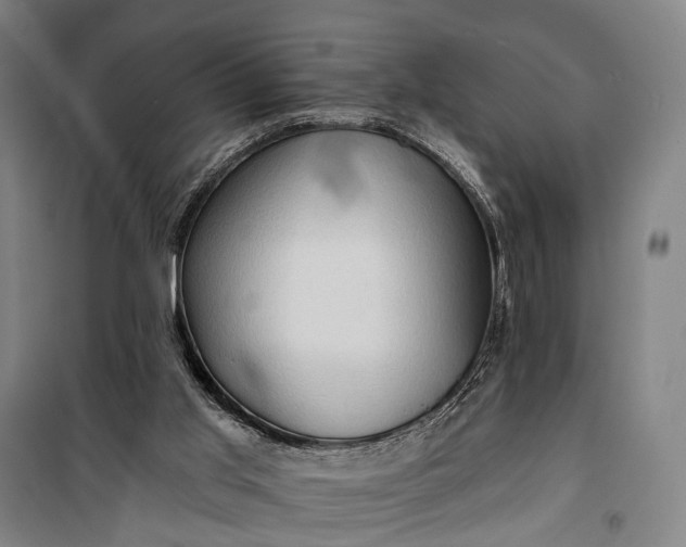 X0000101160013200807111039