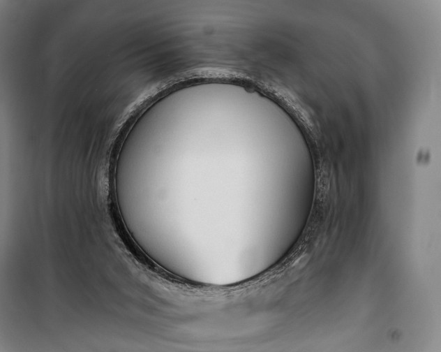 X0000101160015200807111039