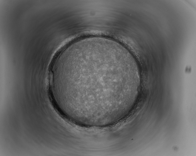 X0000101160016200807111039