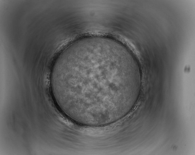 X0000101160017200807111039