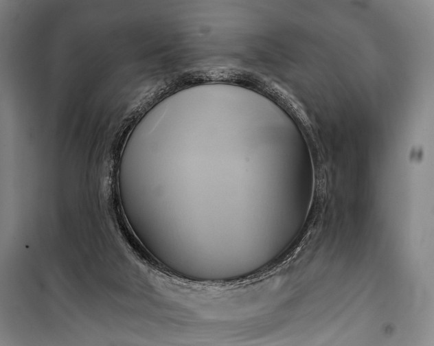 X0000101160018200807111039