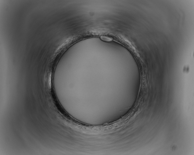 X0000101160019200807111039