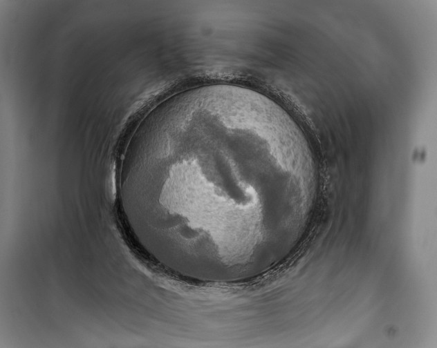 X0000101160020200807111039