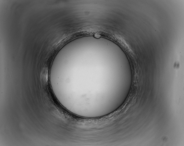 X0000101160021200807111039