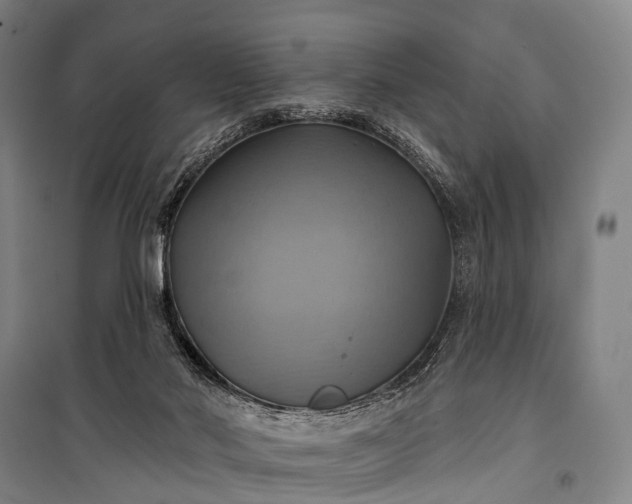 X0000101160022200807111039