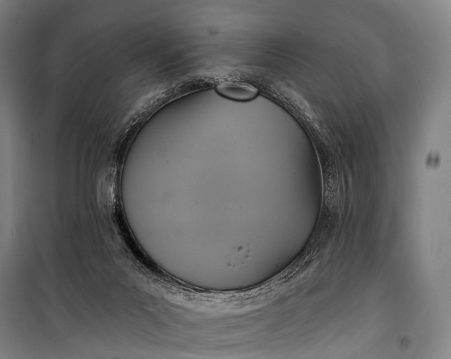 X0000101160023200807111039