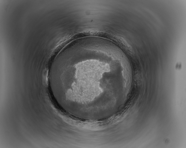 X0000101160024200807111039