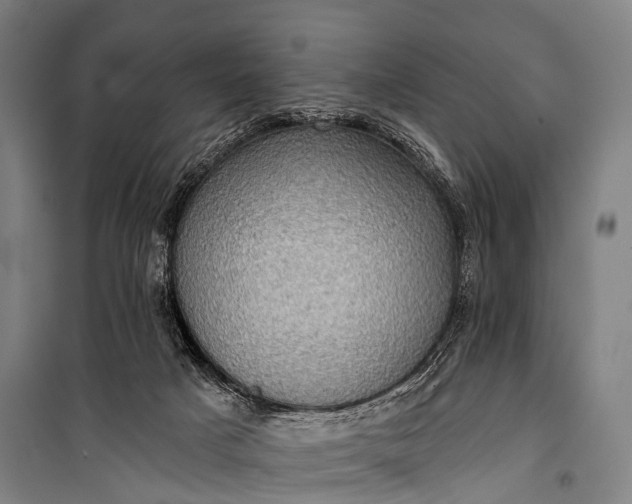 X0000101160025200807111039