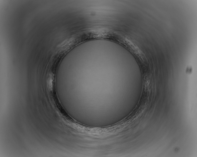 X0000101160026200807111039