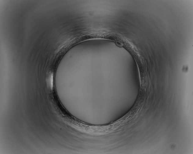 X0000101160027200807111039