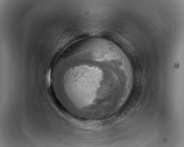 X0000101160028200807111039