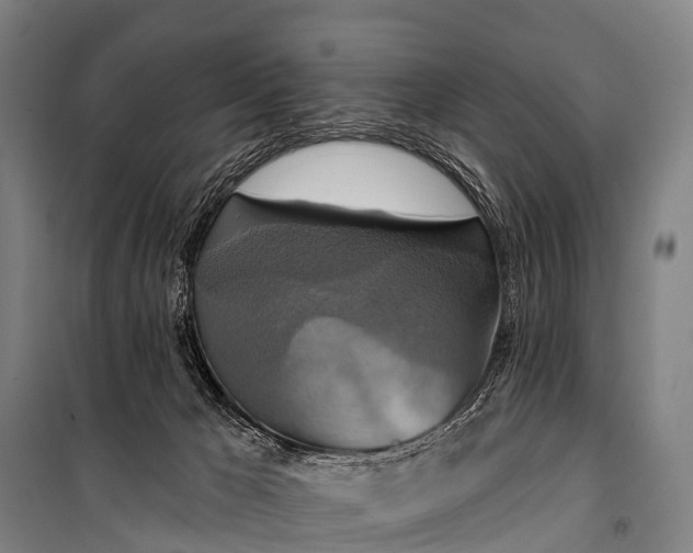 X0000101160029200807111039