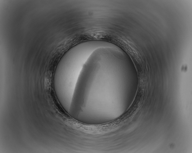 X0000101160030200807111039