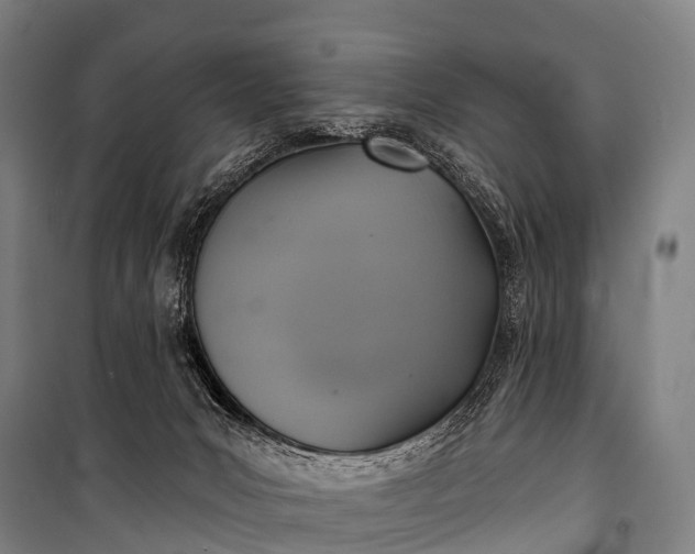 X0000101160031200807111039