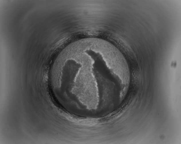 X0000101160032200807111039