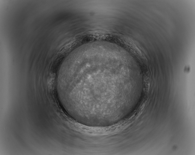 X0000101160034200807111039