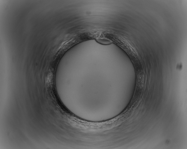 X0000101160035200807111039