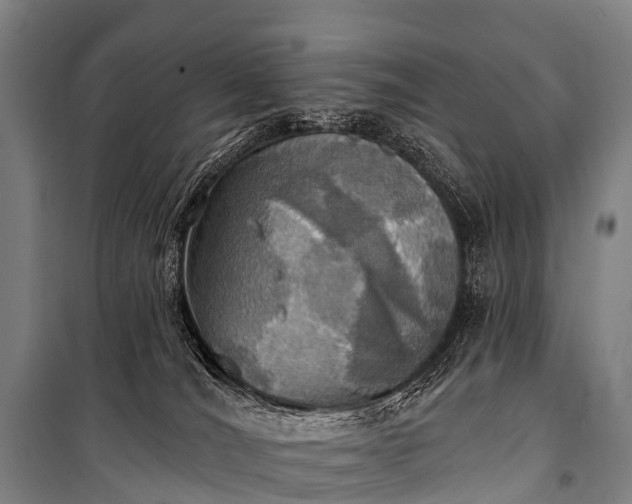 X0000101160036200807111039