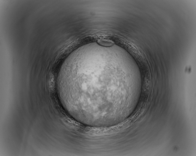 X0000101160037200807111039