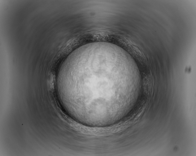 X0000101160038200807111039