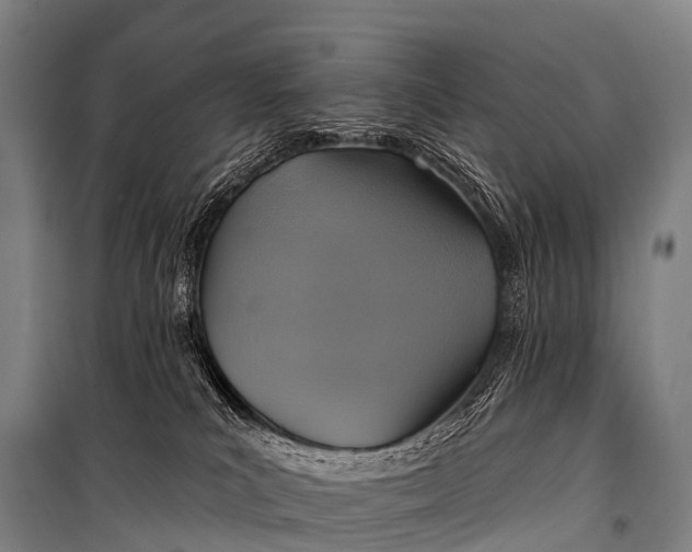 X0000101160039200807111039