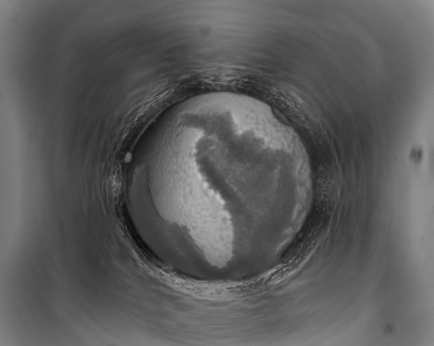 X0000101160040200807111039