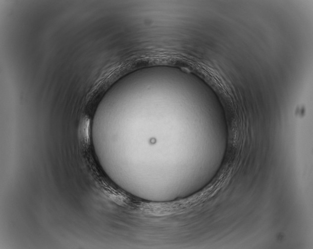 X0000101160041200807111039