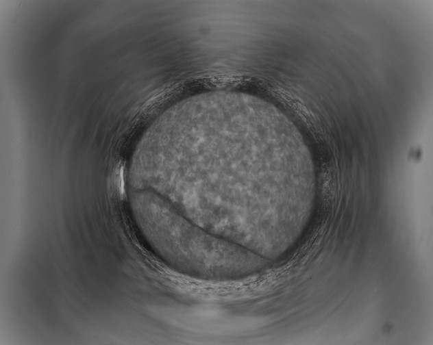 X0000101160042200807111039