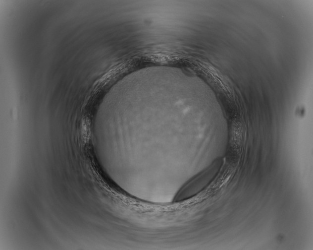 X0000101160043200807111039