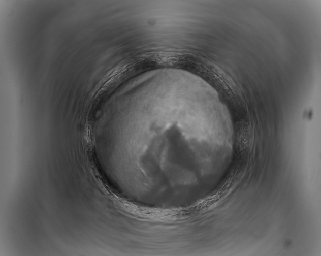 X0000101160044200807111039