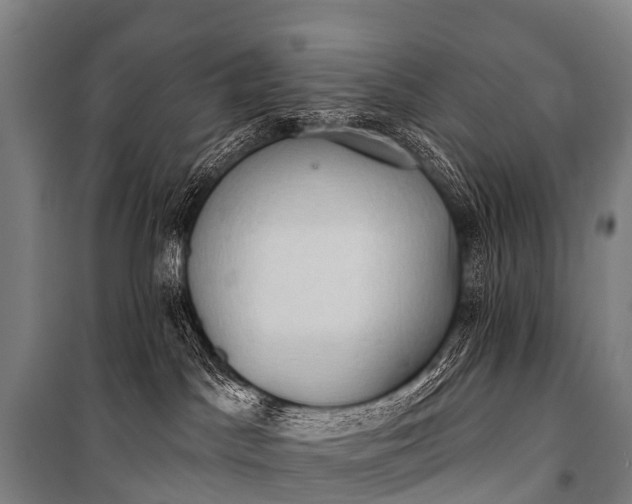 X0000101160045200807111039