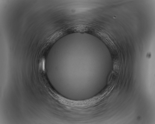 X0000101160046200807111039