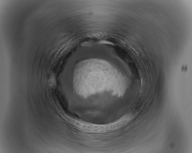 X0000101160048200807111039