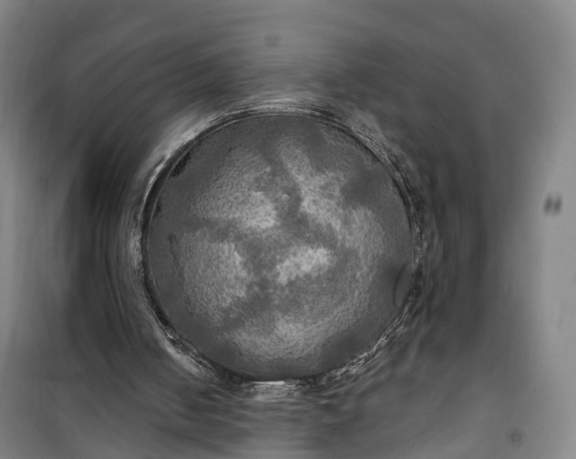 X0000101160050200807111038