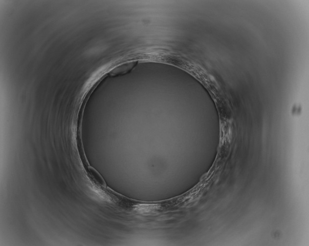 X0000101160051200807111038