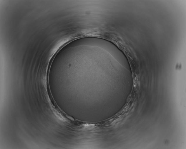 X0000101160052200807111038