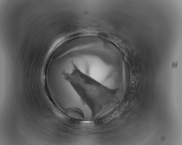 X0000101160053200807111038