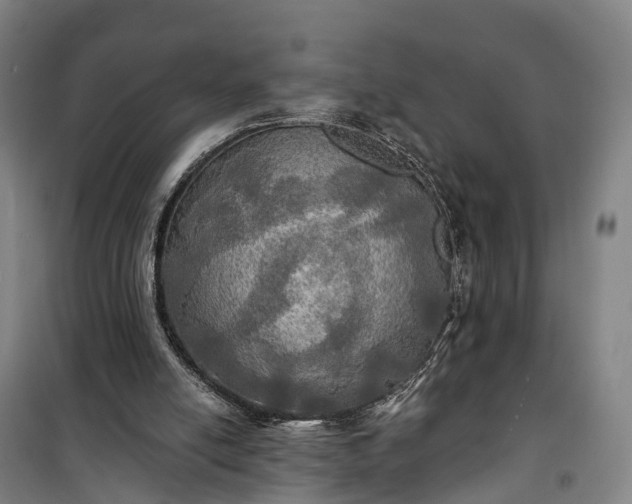 X0000101160054200807111038