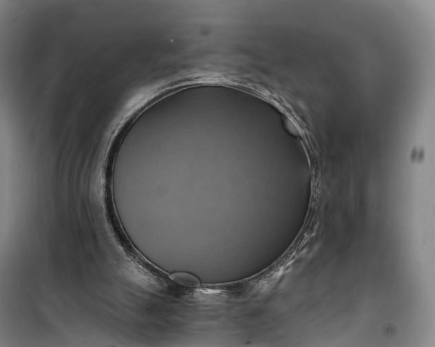 X0000101160055200807111038