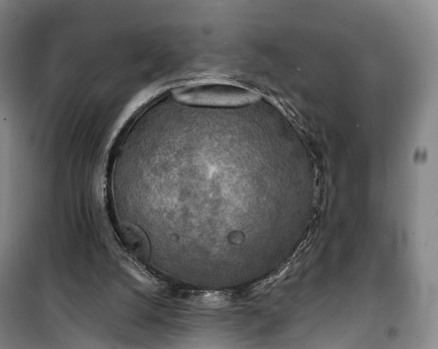 X0000101160056200807111038