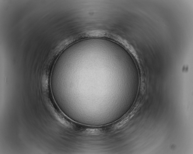 X0000101160057200807111038