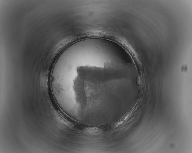 X0000101160058200807111038