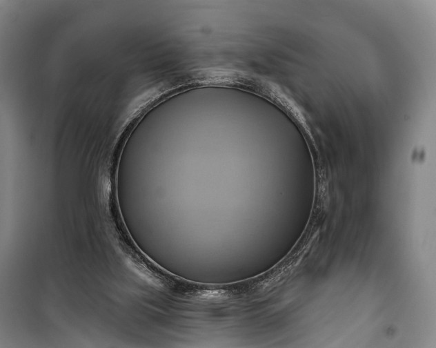 X0000101160059200807111038