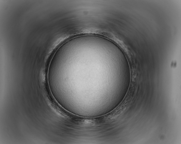 X0000101160060200807111038