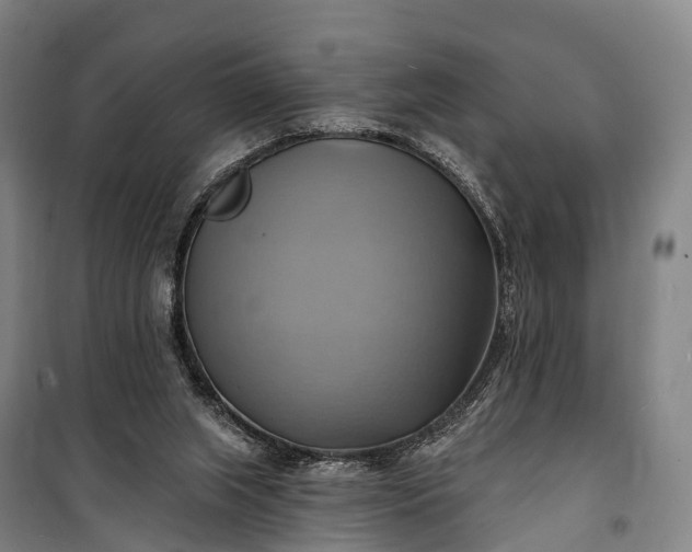 X0000101160063200807111038